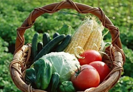 吃大瓜小红花会胖吗视频,体重变化揭秘！