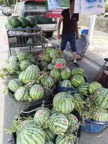 临沂沂水吃瓜事件视频最新,一场引发热议的网络视频风波