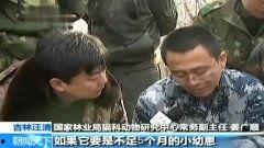 老年相亲吃瓜视频大全,老年相亲吃瓜视频大盘点