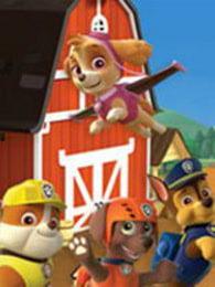 汪汪救援队吃瓜视频,萌犬们欢乐时光大揭秘