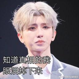 吃瓜蔡徐坤直播间视频下载,吃瓜群众的热议瞬间