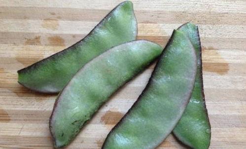 可以吃茭瓜吗有毒吗视频