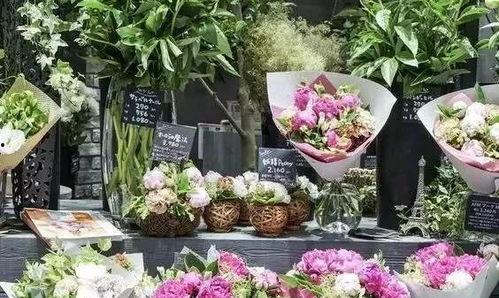 花店最新吃瓜视频播放下载