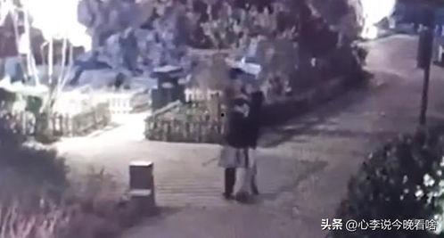 江山吃瓜事件视频完整版,揭秘视频完整版背后的真相与争议