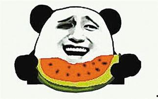 爆笑虫子吃瓜群众视频,一场欢乐的虫虫盛宴