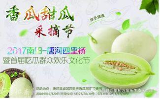 八里香瓜园吃瓜视频,一场甜蜜的瓜果盛宴