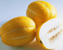 八里香瓜园吃瓜视频,一场甜蜜的瓜果盛宴