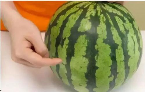 吃瓜掉皮的视频大全图片,笑料横生的视频大全集锦