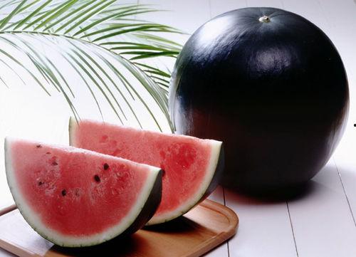 吃瓜掉皮的视频大全图片,笑料横生的视频大全集锦