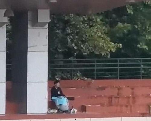 桑植吃瓜事件视频,一场引发热议的网络狂欢