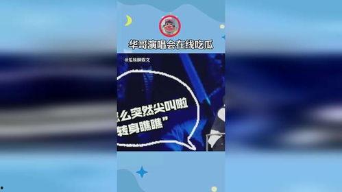 刘德华演唱会吃瓜视频,揭秘幕后花絮与精彩瞬间