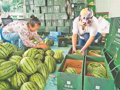 热搜西昌吃瓜视频大全集