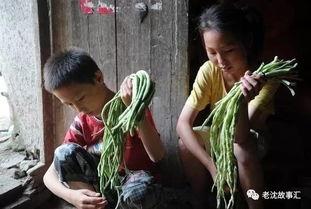 吃瓜江西姐弟视频大全,趣味横生的家庭日常