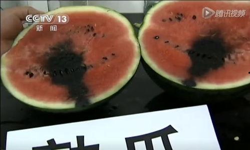 鄂尔多斯吃瓜事件视频,一场引发热议的网络狂欢