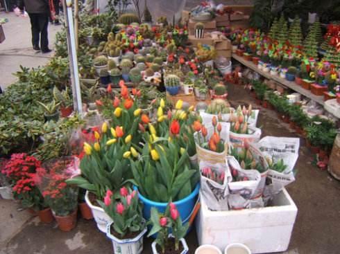 花店老板最新吃瓜视频