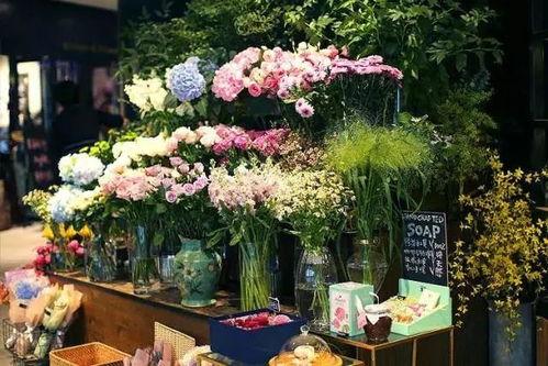 花店老板最新吃瓜视频