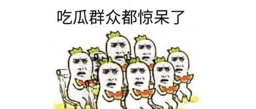 吃瓜群众骂脏话视频播放,吃瓜群众视频播放背后的争议与反思