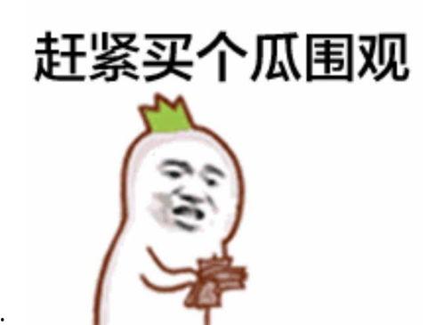 吃瓜群众骂脏话视频播放,吃瓜群众视频播放背后的争议与反思