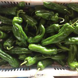 吃辣椒瓜的视频怎么拍,跟随镜头探寻辣椒瓜的独特魅力