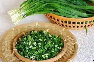 韭菜哥吃瓜视频文案搞笑,笑料横飞，瓜田笑果连连