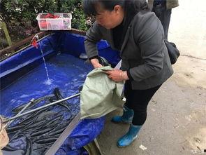 五一旅游女孩吃瓜视频播放,揭秘网红美食背后的故事