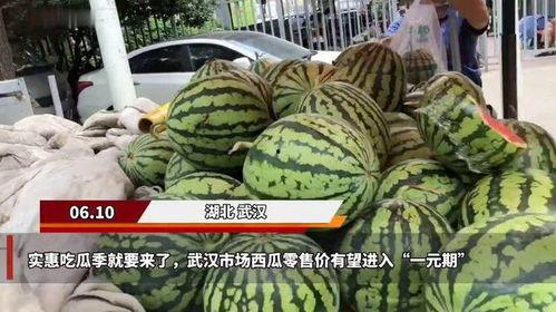 最新一期吃瓜视频大全,娱乐圈风云再起，精彩瞬间一网打尽！