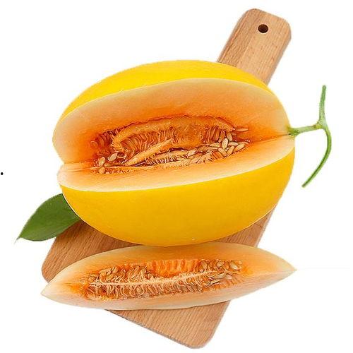 蜜瓜能存多久吃啊视频