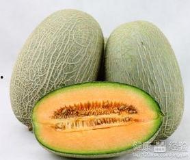 兔子可以吃哈密瓜嘛视频,哈密瓜，兔子的新宠？