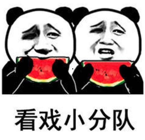 解读吃瓜表情包视频,网络热梗背后的文化现象